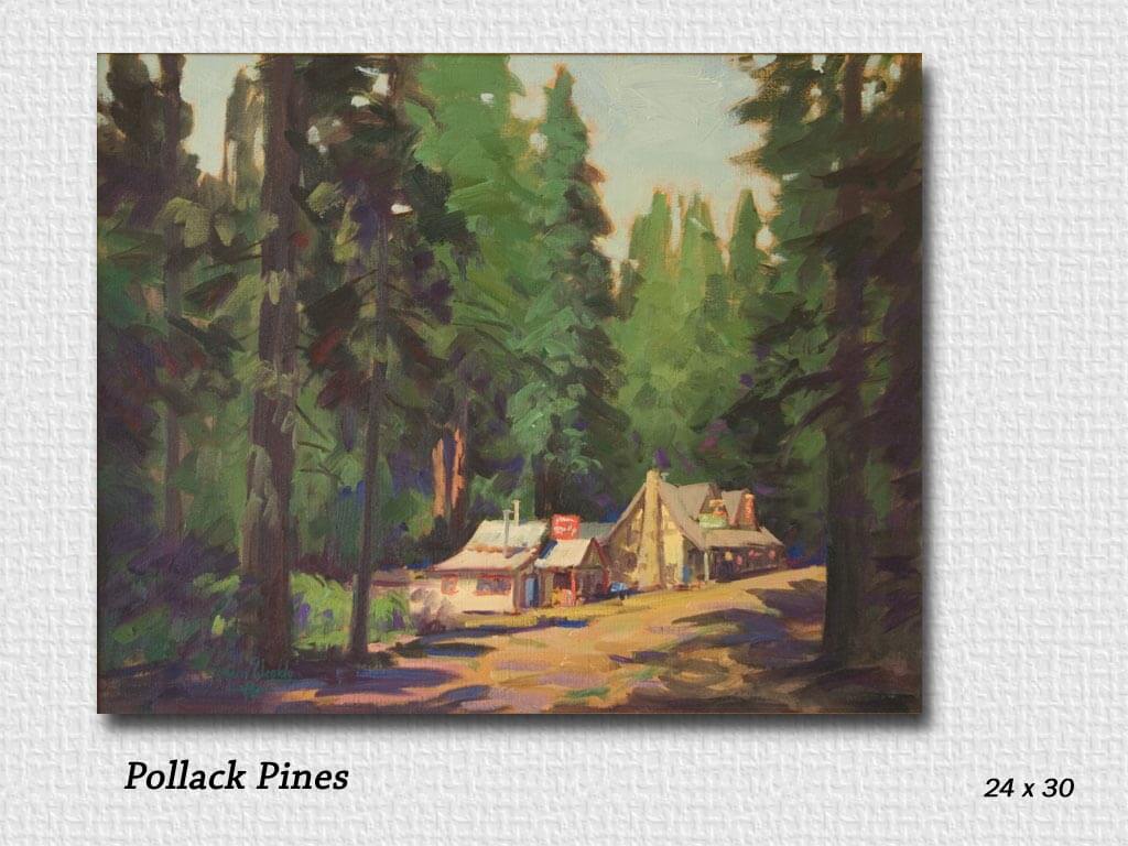 pollack pines