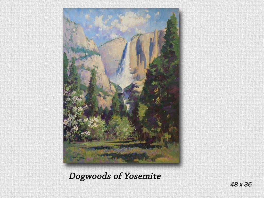 dogwoods of yosemite